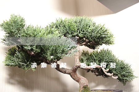 逾期被起訴后是按起訴金額還嗎-