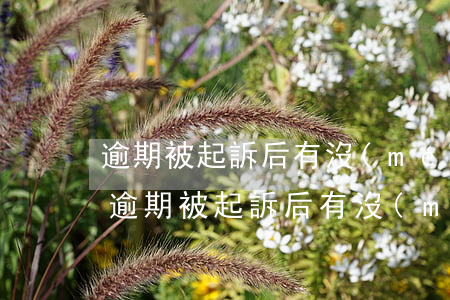 逾期被起訴后有沒(méi)有什么影響-逾期被起訴后有沒(méi)有什么影響