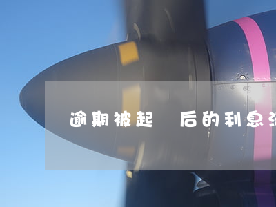 逾期被起訴后的利息法院怎么判-