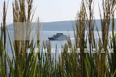 逾期被起訴后還款怎么撤訴
