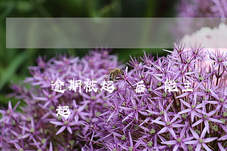 逾期被起訴后還能主動還款嗎(逾期還款會被起訴嗎)