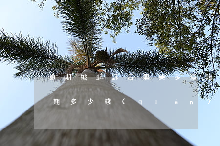 逾期被起訴后需要多還錢(qián)嗎(逾期多少錢(qián)會(huì)被起訴)