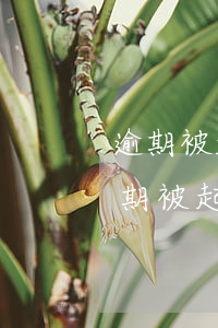 逾期被起訴后需要承擔(dān)的費用(逾期被起訴的費用是誰承擔(dān))