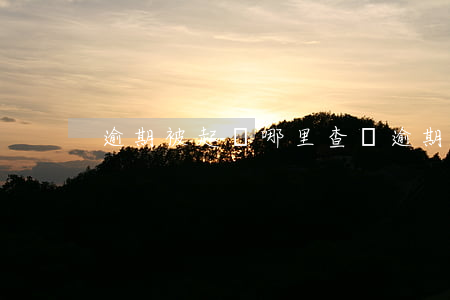 逾期被起訴哪里查詢(逾期被起訴怎么查詢)