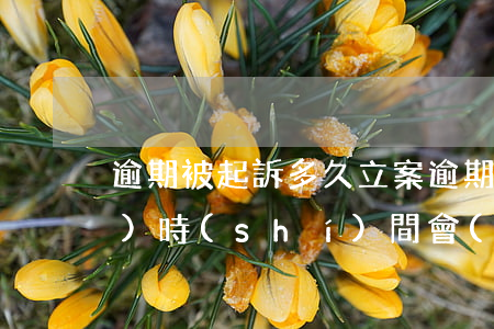 逾期被起訴多久立案(逾期多長(zhǎng)時(shí)間會(huì)被起訴)