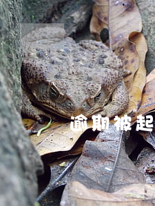 逾期被起訴好嗎(逾期起訴了會怎么樣)