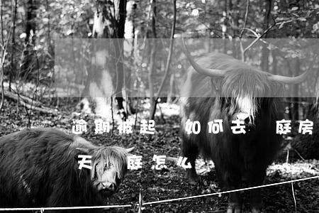 逾期被起訴如何去開庭(房貸逾期被起訴了明天開庭怎么辦)