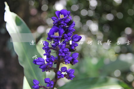 逾期被起訴如何找原告方撤訴(被告要求撤訴咋辦)