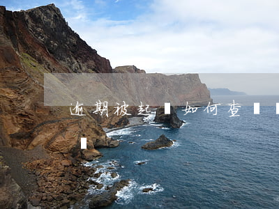 逾期被起訴如何查詢(貸款逾期被起訴怎么查詢)