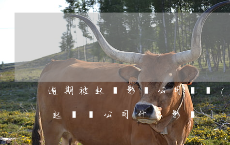 逾期被起訴影響公司營業(yè)嗎(欠款被起訴對公司什么影響)