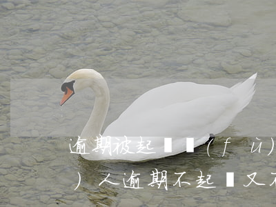 逾期被起訴復(fù)議-申請(qǐng)人逾期不起訴又不履行復(fù)議決定的