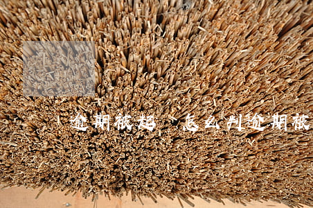 逾期被起訴怎么判(逾期被告怎么辦)