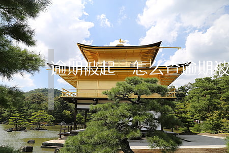 逾期被起訴怎么查（逾期被起訴怎么查）