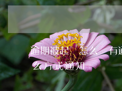 逾期被起訴怎么沒有通知(逾期被起訴會以什么方式通知)