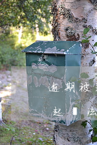 逾期被起訴怎樣執(zhí)行(如果逾期被起訴法院一般怎么處理)