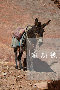 逾期被起訴成功 逾期被起訴,法院怎么判