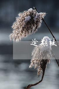逾期被起訴拘留-貸款逾期被起訴會拘留嗎