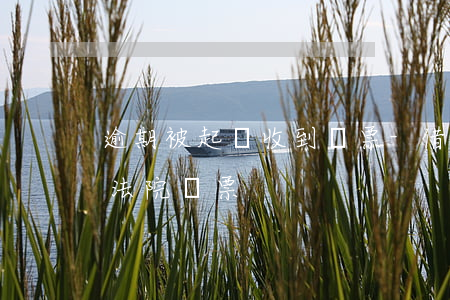 逾期被起訴收到傳票-借貸逾期會不會收到法院傳票