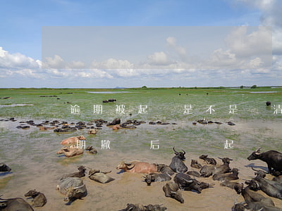逾期被起訴是不是還清了就撤訴了（商品房逾期撤訴后還沒起訴嗎）