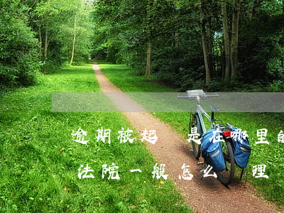 逾期被起訴是在哪里的法院(如果逾期被起訴法院一般怎么處理)