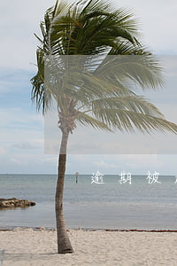 逾期被起訴時間