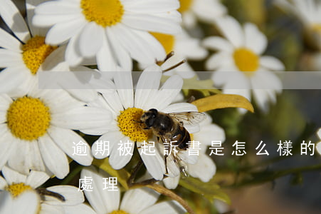 逾期被起訴書是怎么樣的 逾期被起訴了,怎么處理