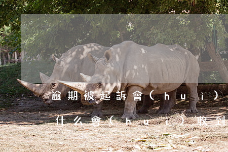 逾期被起訴會(huì)收到什么短信-為什么會(huì)收到逾期短信
