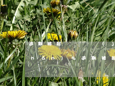 逾期被起訴會凍結(jié)家人財產(chǎn)么 逾期被起訴會凍結(jié)家人財產(chǎn)么