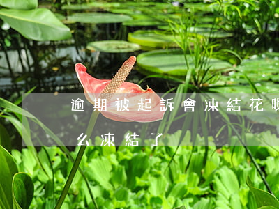 逾期被起訴會凍結花唄嗎(沒有逾期花唄為什么凍結了)