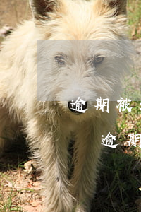 逾期被起訴會要求賣資產(chǎn)嗎(房貸逾期被起訴房子還能賣么)