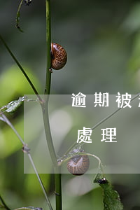 逾期被起訴有哪些征兆-逾期被起訴了,怎么處理