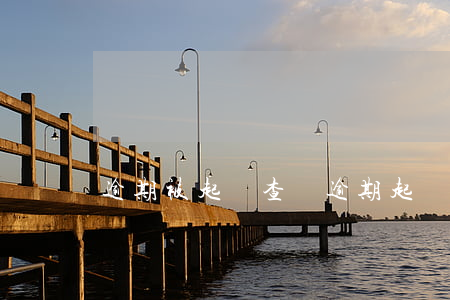 逾期被起訴查詢(逾期起訴怎么查詢)