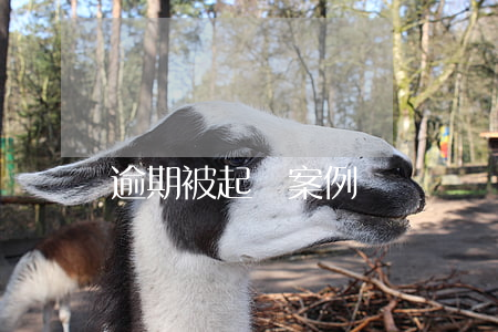 逾期被起訴案例
