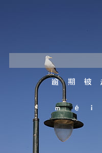 逾期被起訴沒(méi)法去開庭(開庭沒(méi)去可以上訴嗎)