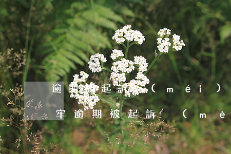 逾期被起訴沒(méi)錢會(huì)坐牢(逾期被起訴沒(méi)錢會(huì)坐牢嘛)