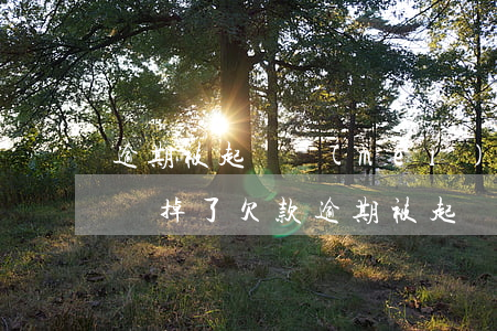 逾期被起訴沒(méi)開(kāi)庭前還掉了(欠款逾期被起訴沒(méi)出庭是不是真的?)