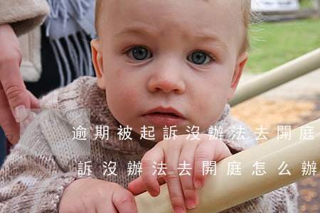 逾期被起訴沒辦法去開庭怎么辦-逾期被起訴沒辦法去開庭怎么辦呢