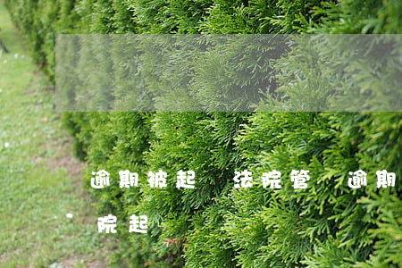 逾期被起訴法院管嗎(逾期會(huì)被法院起訴嗎)