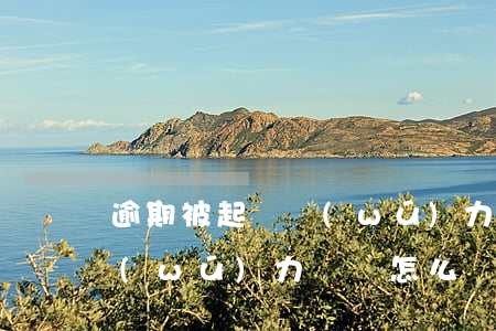 逾期被起訴無(wú)力償還(逾期被起訴無(wú)力償還怎么辦)