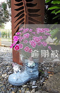 逾期被起訴的前兆(逾期會被起訴)