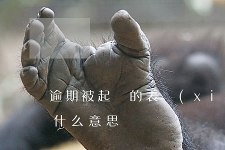 逾期被起訴的表現(xiàn)(逾期起訴是什么意思)