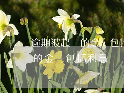 逾期被起訴的金額包括利息嗎-逾期被起訴的金額包括利息嗎