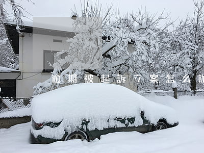 逾期被起訴立案怎么辦（逾期起訴立案要多久）