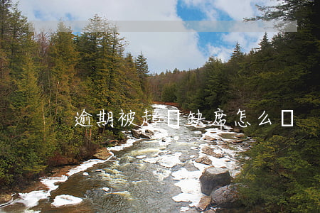 逾期被起訴缺席怎么辦