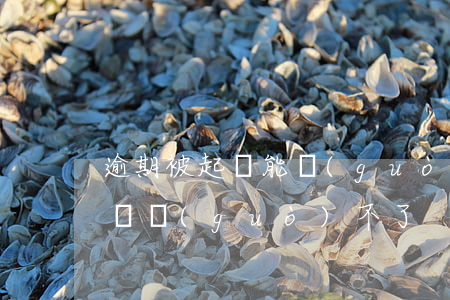 逾期被起訴能過(guò)政審軍婚(軍婚政審過(guò)不了)