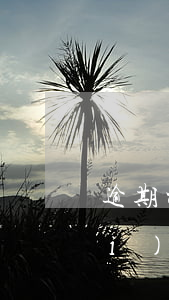 逾期被起訴要承擔(dān)律師費(fèi)用嗎（房屋合同逾期起訴律師費(fèi)）
