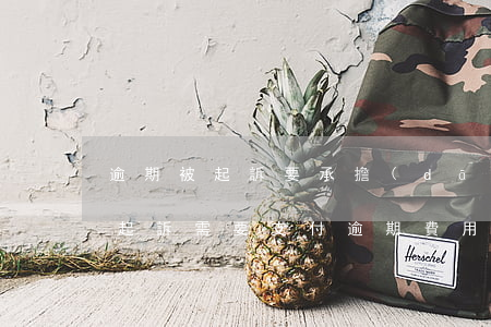 逾期被起訴要承擔(dān)律師費用嗎（被起訴需要支付逾期費用嗎）