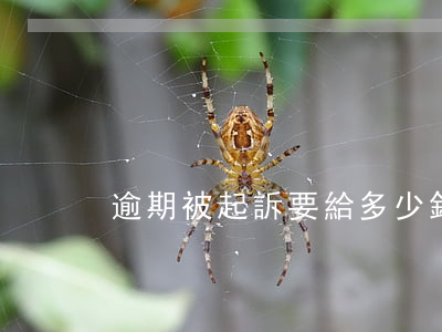 逾期被起訴要給多少錢 逾期被起訴了會怎樣
