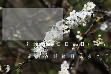 逾期被起訴讓我聯(lián)系對方律師(逾期收到律師函多久會被起訴)