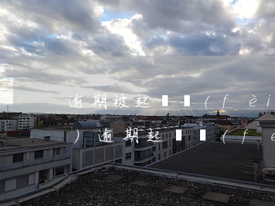 逾期被起訴費(fèi)用誰承擔(dān)(逾期起訴費(fèi)用誰出)